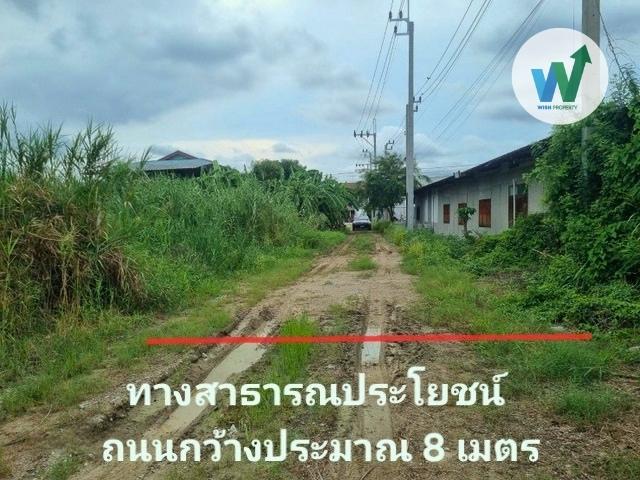 ขายที่ดินลงทุนรับเงินเช่า บางพลี 100 ตร.ว ใกล้แหล่งอุตสาหกรรม ใกล้แหล่งชุมชน 4