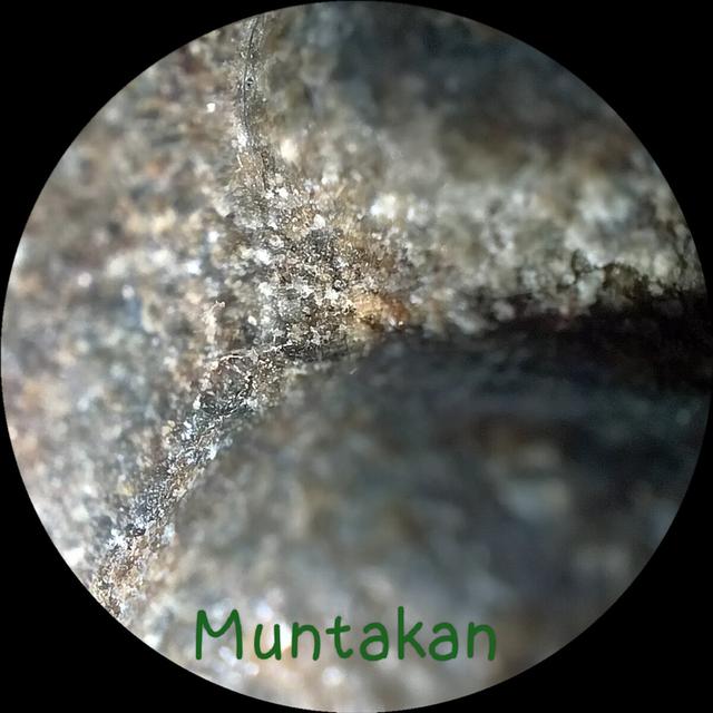 พระเจ้า 7 พระองค์หลวงพ่อจง วัดหน้าต่างนอก รูปที่ 4