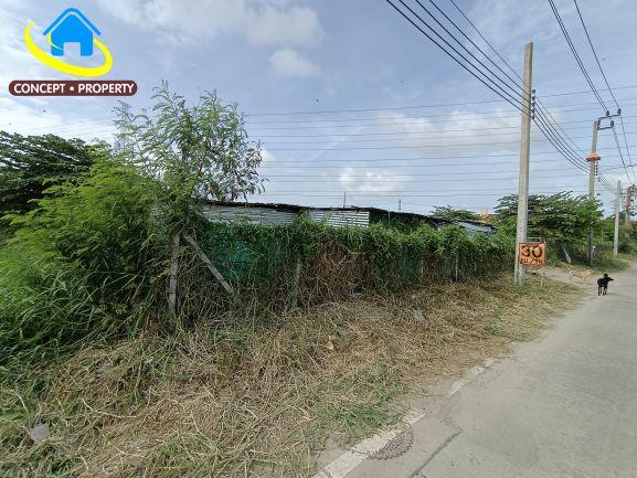 ขายที่ดิน 2 ไร่ 2 งาน ซอยส.มณีรัตน์ ถนนเทพารักษ์ บางพลี 1