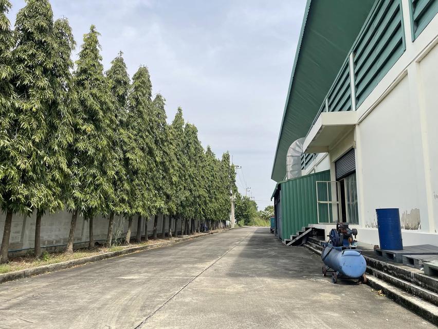 ขายโรงงาน พร้อมสำนักงาน พิกัด ต.บ่อเงิน อ.ลาดหลุมแก้ว จ.ปทุมธานี 2