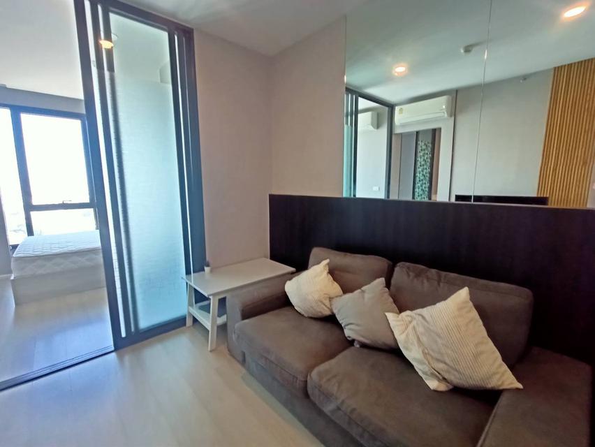 ปล่อยเช่า คอนโดเซียล่า ศรีปทุม 1