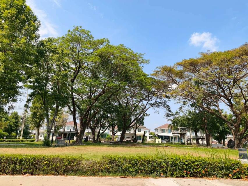 บ้านเดี่ยว หมู่บ้านพฤกษ์ลดา 6