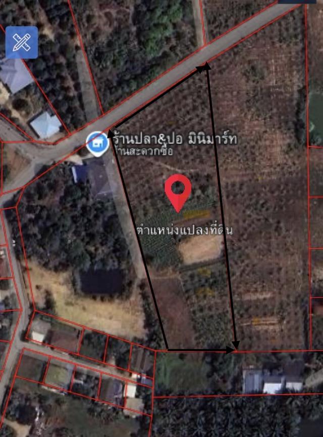 ขายที่ดิน 5ไร่ 50ตารางวา 3