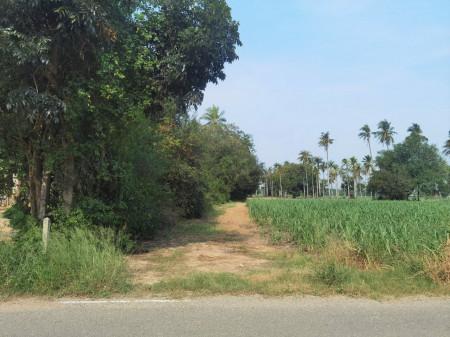 ขาย ที่ดิน แปลงใหญ่ ME152 หนองชัน หนองอิรุณ บ้านบึง ชลบุรี . 100 ไร่ 2 งาน 33 ตรว ติดทางสาธารณะ ห่างถนน 3284 เพียง 2.7 กม. 4