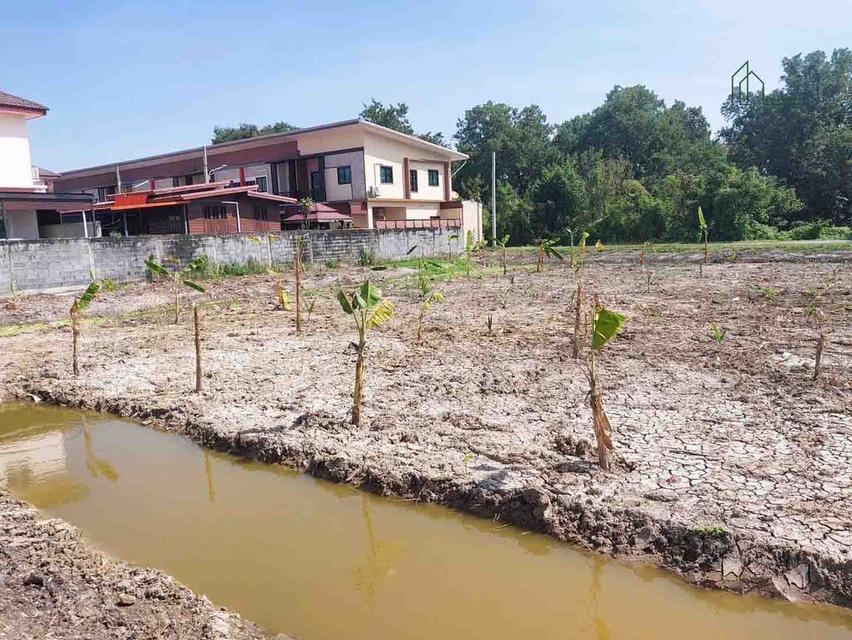 ที่ดิน 1 ไร่ 2 งาน 24 ตารางวา บางกรวย ไทรน้อย 43 ใกล้วัดบางกร่าง 2