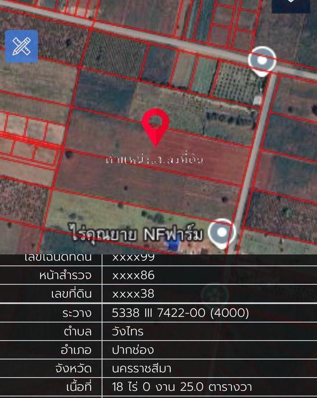 ขายถูก ที่ดิน ปากช่อง เขาใหญ่ ( ไร่ละ 1 ล้าน ) 10