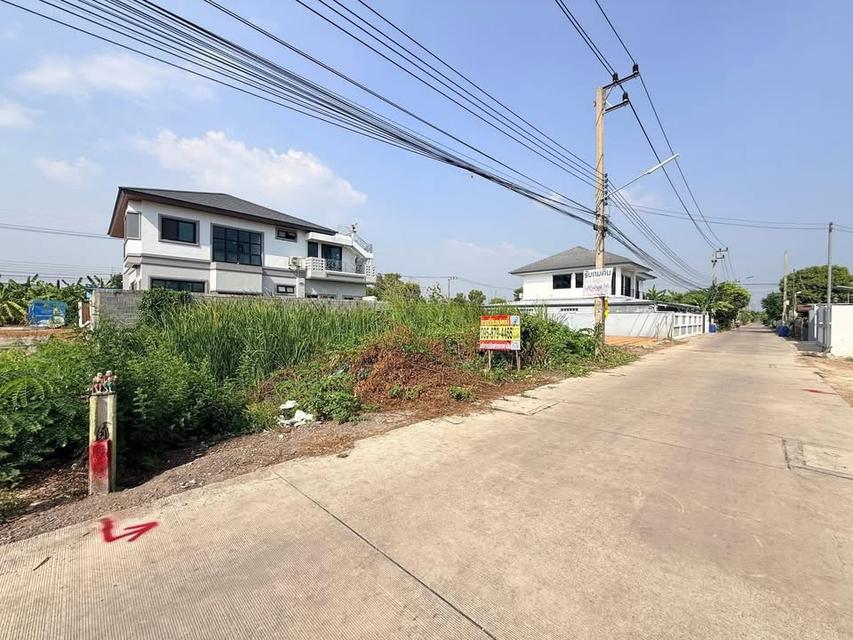 ขายด่วนที่ดิน 75 ตารางวา ติดถนนคอนกรีตสาธารณะ บงกช43 คลองหลวง ปทุมธานี 2