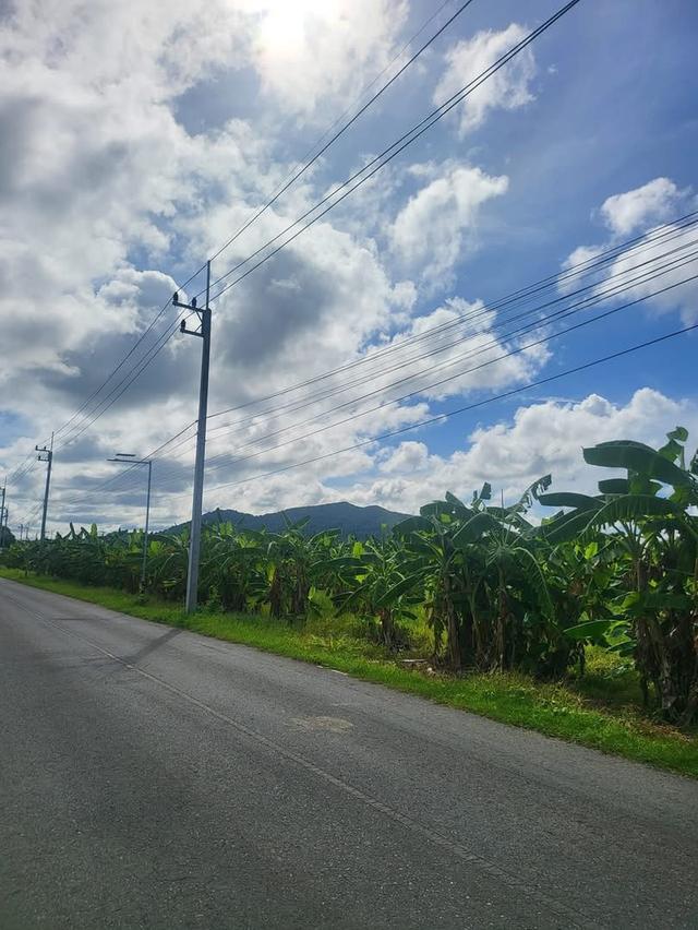 ขายที่ดิน 5ไร่ 50ตารางวา 2