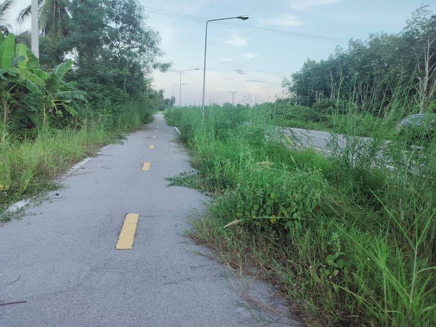 ที่ดินหัวหิน ห้วยมงคล 2