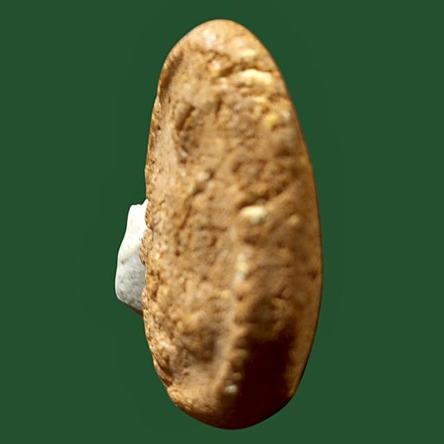 พระเนื้อดินไม่ทรพระเนื้อดินไม่ทราบที่าบที่ รูปที่ 3