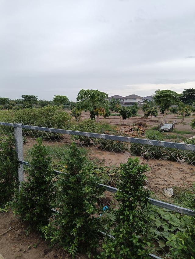 ที่ดินจัดสรรแบ่งขาย นนทบุรี 1