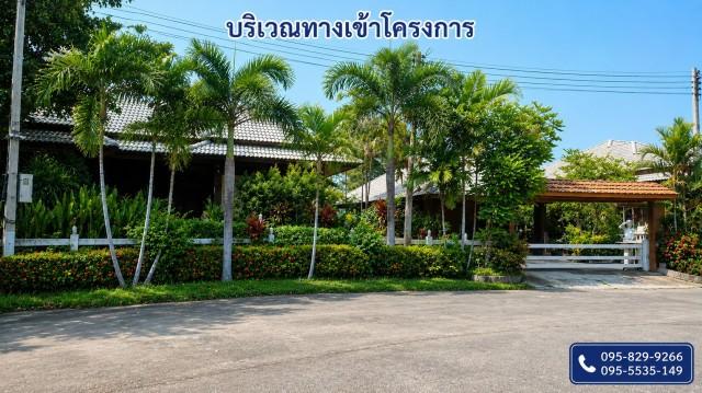 ขายที่ดินถมแล้ว 2-0-01ไร่ โครงการ Wellness City (เวลเนสซิตี้) เพื่อการพักวัยเกษียณ ใกล้ถนนปทุมธานี-สามโคก-เสนา (ทล.3111) 7