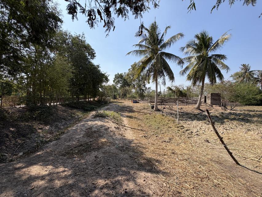 ขายที่ดินแปลงนี้ 16ไร่1งาน76ตรว ต.หนองตาแต้ม อ.ปราณบุรี จ.ประจวบคีรีขันธ์ ที่ดินติดถนน ติดภูเขา 8