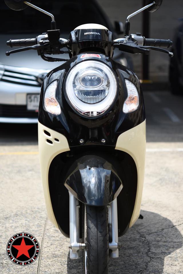 Honda Scoopy Urban 12