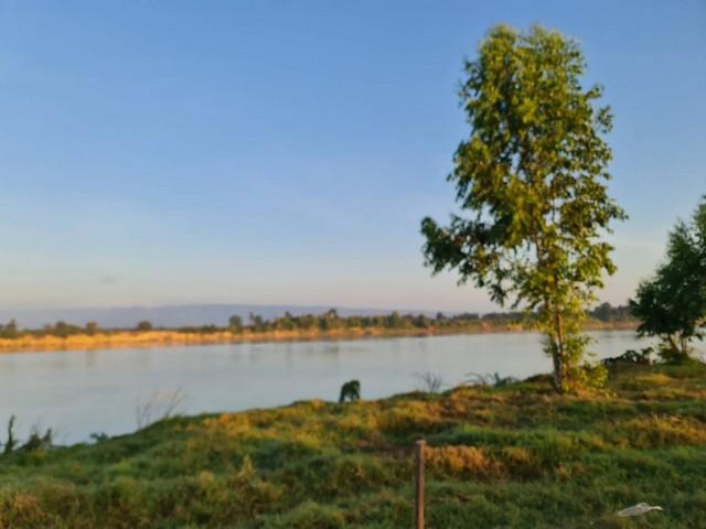 ที่ดินบ้านพร้อมโอนเจ้าของขายเอง ที่ติดแม่น้ำโขง ต.กุดบง อ.โพนพิสัย จ.หนองคาย หลังติดแม่น้ำโขง ไร่ละ 2ล้านบาท โทร 096-882 1