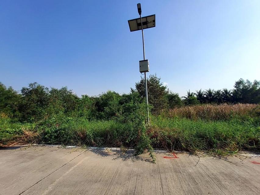 ขายด่วนที่ดินถนนฤชุพันธุ์ 568 ตารางวา ติดถนนคอนกรีตสาธารณะ ซอย ฤชุพันธุ์ 4 อ.ไทรน้อย จ.นนทบุรี 3