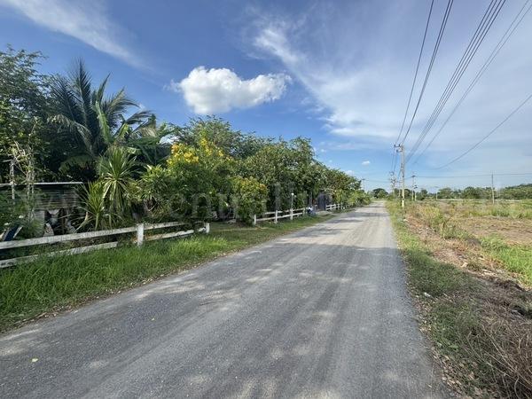 บ้านเดี่ยวพร้อมที่ดิน 2 ไร่ หนองเสือ - คลอง 10 ปทุมธานี 19