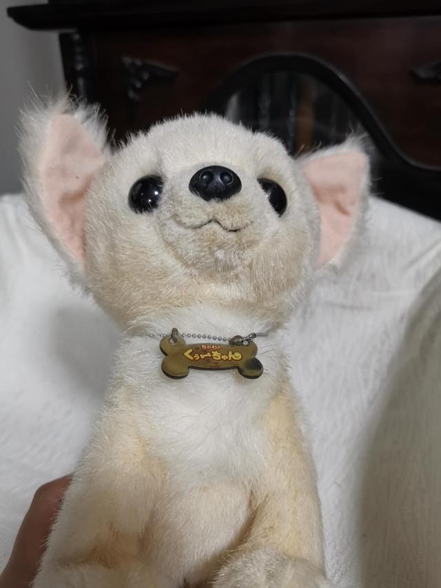 cute dog Chihuahua doll 5