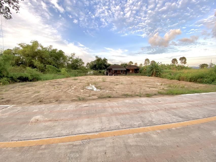 ขายที่ดินเชิงเนินถมแล้ว 194 ตรว. ใกล้ถนนเส้น36(แยกบ้านแลง)-170เมตรใกล้เซ็นทรัลระยอง-3กม. เมืองระยอง 6