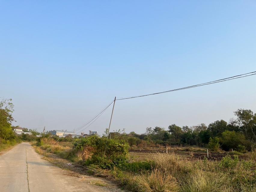 ที่ดิน เปล่า Land กำแพงแสน นครปฐม 14