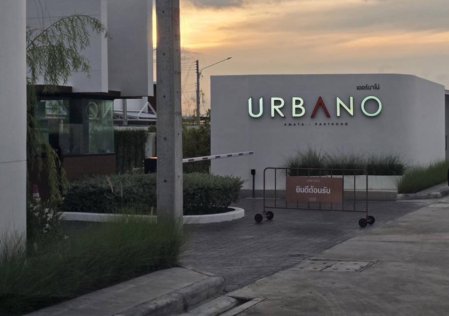 บ้านทาวน์เฮาส์ 20.7 ตรว 2