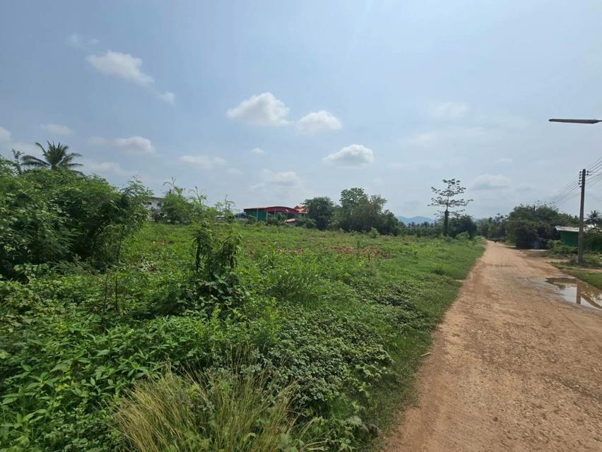 ที่ดิน 1