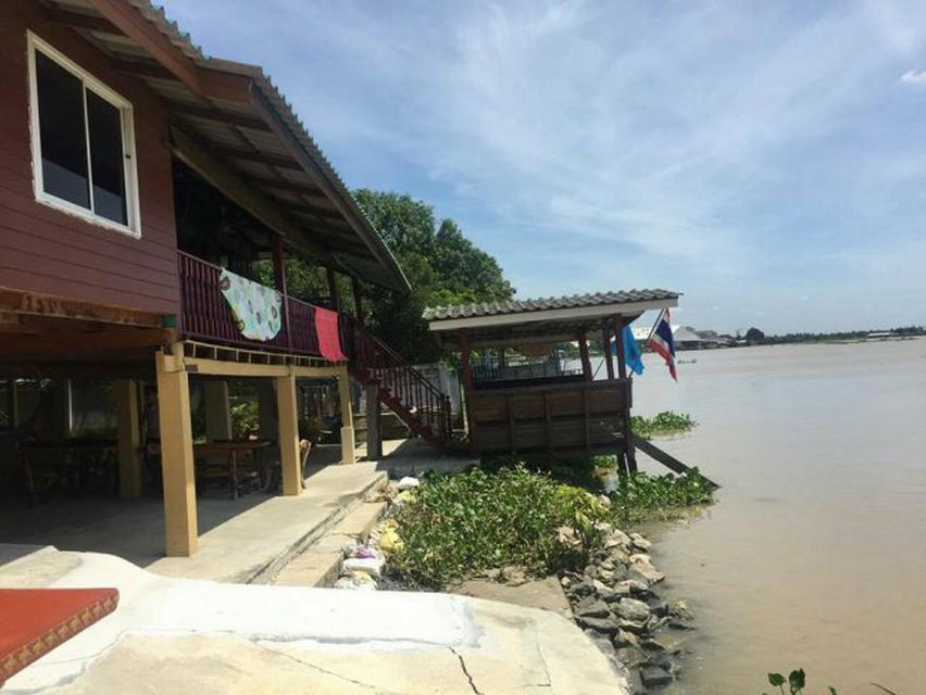 ขายบ้านเรือนไทยติดแม่น้ำเจ้าพระยานนทบุรี บ้านเรือนไทยไม้สัก2หลังบ้านปูน1หลังเนื้อที่168ตรว ใกล้วัดตาล วัดบางตะไนย์ ตรงข้ 5