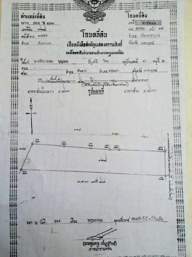 ขายที่เพชรบูรณ์ 42 ไร่ 3