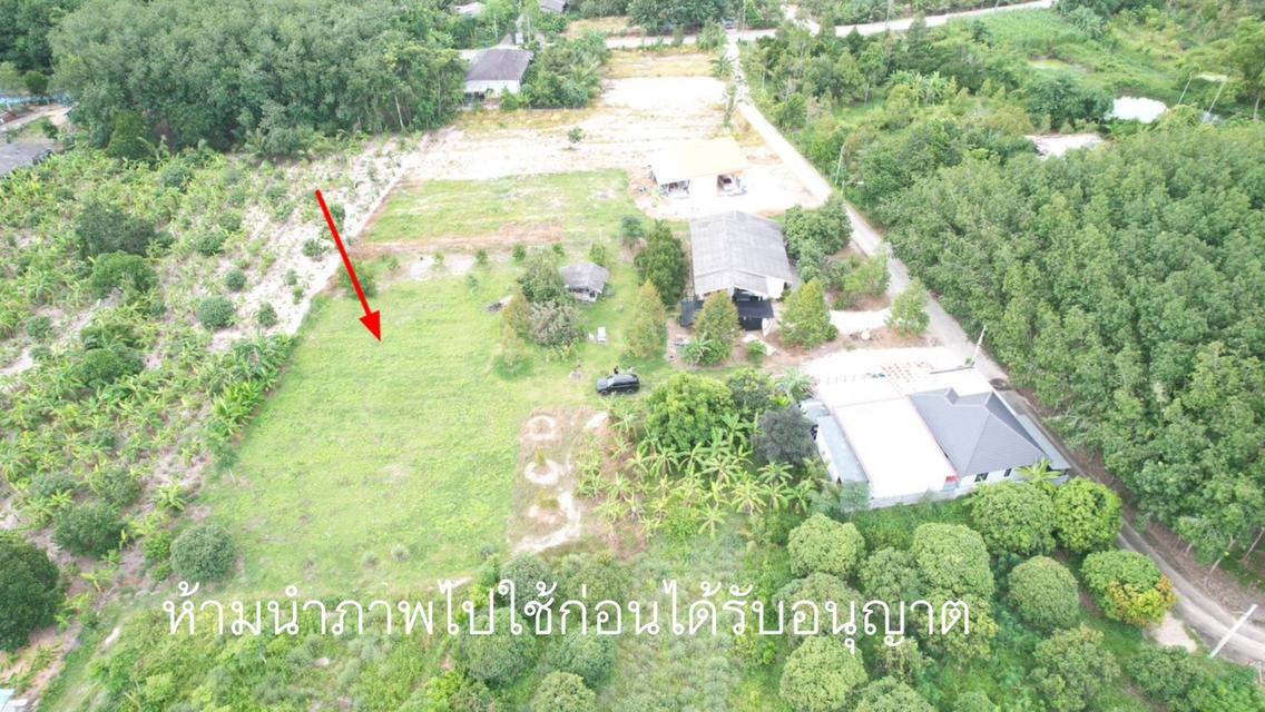 🏡✨ขายที่ดินเปล่าแปลงสวย – พร้อมปลูกบ้าน ทำเลดีใกล้เมืองระยอง✨🏡 1