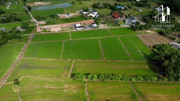 ขายที่ดินวิวเขา เกือบ 6 ไร่ เขาพระ จ.นครนายก  ทำเลสวย ติดถนนใหญ่ ใกล้แหล่งท่องเที่ยว เหมาะทำรีสอร์ท–คาเฟ่–บ้านพักตากอากาศ 5