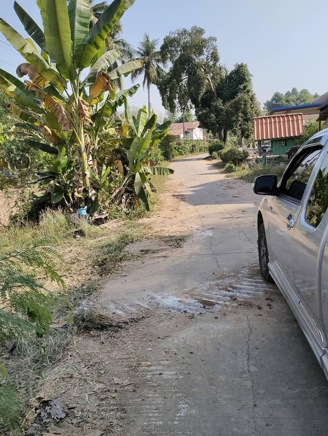 ขายที่ดินเปล่า ทำเลดี หน้าหลังติดคลองน้ำ อำเภอเมืองพิจิตร จังหวัดพิจิตร 8