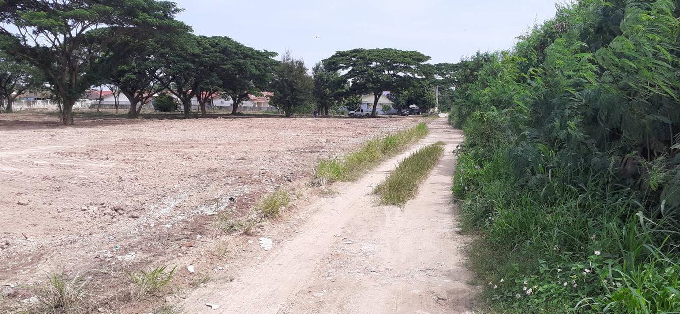 ขายที่ดินอำเภอหัวหิน 12 ไร่ 9