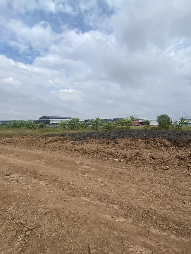 ขายที่ดินเปล่าถมแล้ว พร้อมก่อสร้าง 8