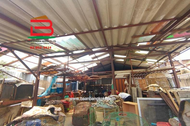 ที่ดินพร้อมบ้าน ซ.ไสวประชาราษฎร์ 5 เนื้อที่ 80 ตรว. ถนนไสวประชาราษฎร์ อ.ลำลูกกา จ.ปทุมธานี