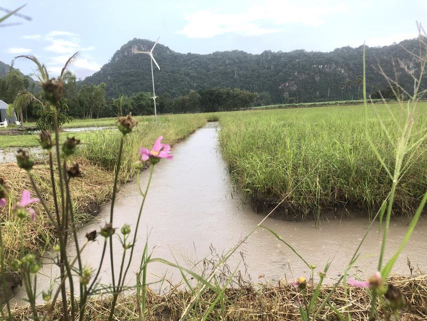 ขายที่ดินวิวเขาติดแม่น้ำ ถนนคอนกรีตใกล้สวิสเซอร์แลนด์เมืองไทยอุทัยธานีเหมาะทำรีสอร์ท 7