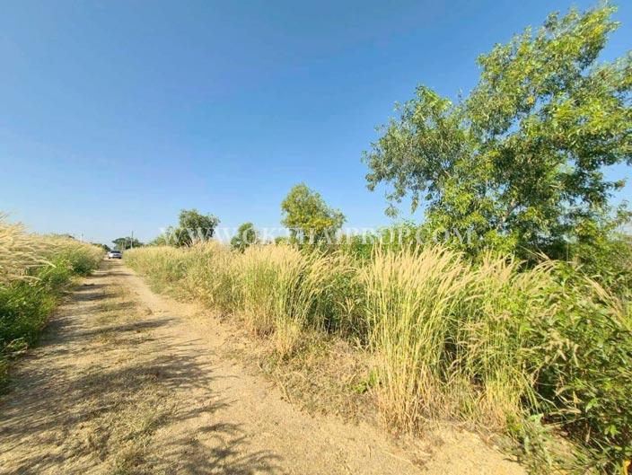 ที่ดิน ใกล้อบต.วังจุฬา วังน้อย พระนครศรีอยุธยา 5