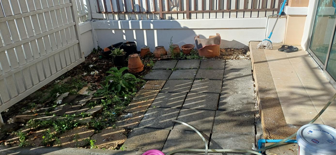 ให้เช่าทาวน์เฮ้าส์ พฤกษาวิลล์ 12