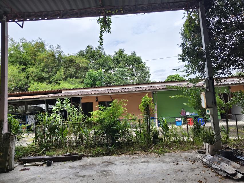 ที่ดินพร้อมอาคาร ห้องแถว โกดังเก็บของ 5