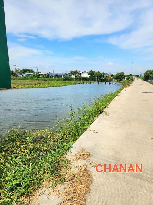 ขายที่ดิน ถ.ตำหรุ บางพลี ซ.ศรีสัมพันธ์3 จ.สมุทรปราการ เนื้อที่259ตรว 2