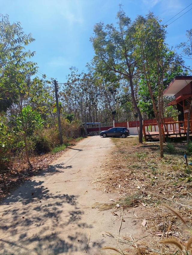 ที่ดินอ.เมืองหวัดสระแก้ว 12