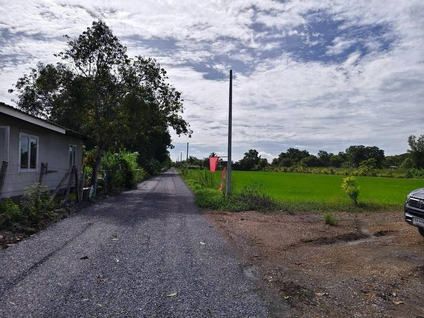 ขายที่ดิน 1 ไร่ บึงบา–หนองเสือ จ.ปทุมธานีบรรยากาศบ้านสวน มีทางเลือกผ่อนตรงเจ้าของ 36 งวด 7