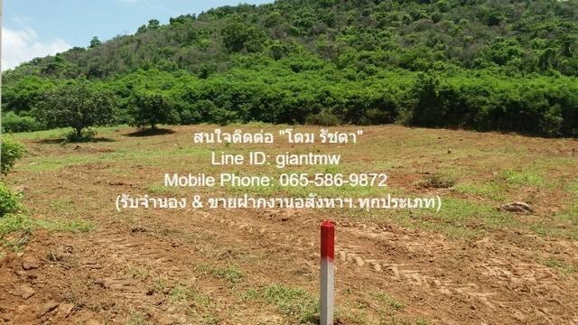 ที่ดิน ขายที่ดินเปล่าปากน้ำปราณ (ห่างชายทะเลปากน้ำปราณ 3 กม.) 335.5 ตร.ว. 1060000 บาท 132 sq.wa ทำเลทอง ที่ดินใกล้ทะเล แ 6