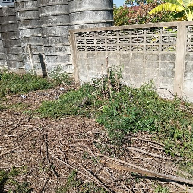 ที่ดินท่าไข่ฉะเชิงเทรา 19