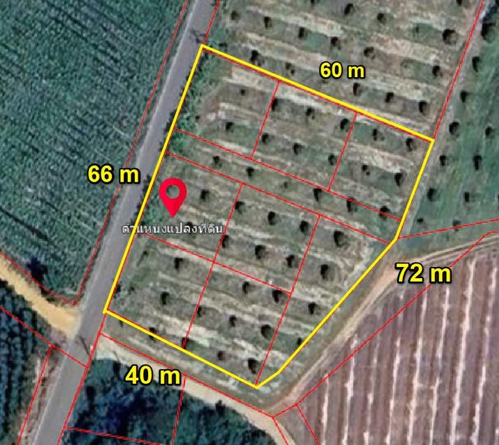 ขายที่ดินพร้อมสวนทุเรียนเนื้อที่ 2 ไร่ ติดถนน2ด้าน ใกล้นิคมเกตเวย์-11กม. อ.แปลงยาว ฉะเชิงเทรา