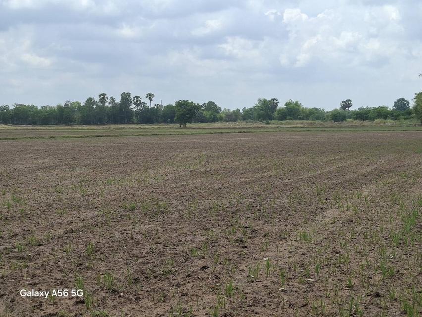 ขายที่ดิน 31 ไร่ 322 ตร.วา ติดถนนใหญ่ หนองขาหย่าง อุทัยธานี ผังเมืองสีชมพู 6