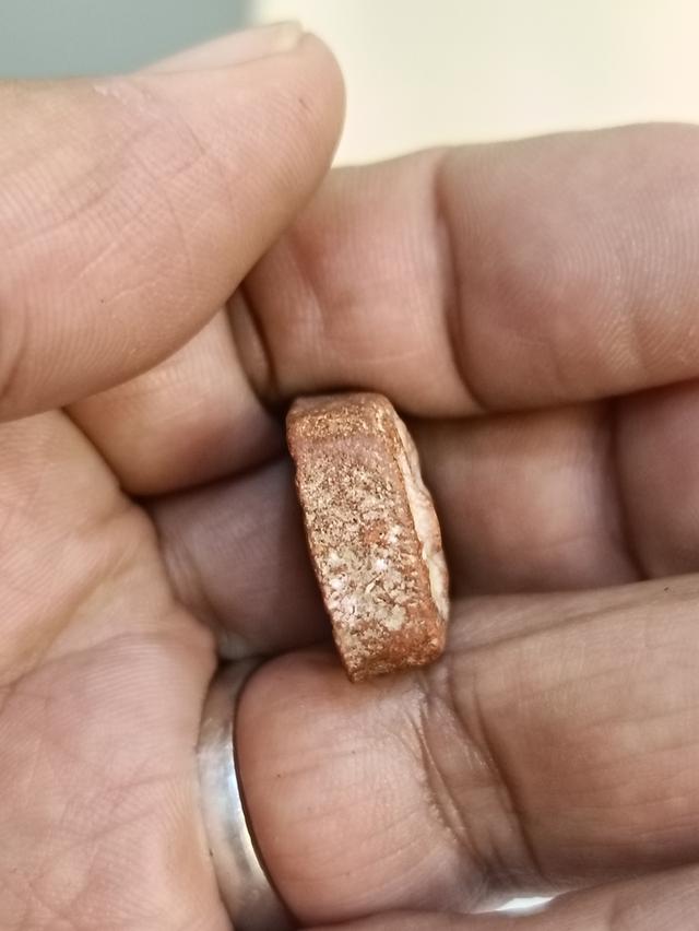 พระหลวงพ่อปาน พิมพ์ขี่นก 11