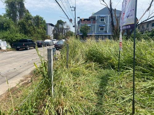 ที่ดินเปล่า 298 ตรว. ซ.รังสิต-นครนายก62  อ.ธัญบุรี  ใกล้ดรีมเวิลด์  7
