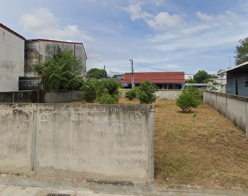 ขายที่ดินหนองปรือ พัทยา 87 ตรว. ถมแล้วซอยชัยวิถี11 ใกล้ถ.มอเตอร์เวย์7(ชลบุรี-พัทยา)-2กม. อ.บางละมุง ชลบุรี 3