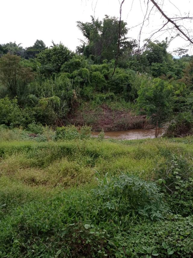 Land for sale in Thailand.1032rai of land 6