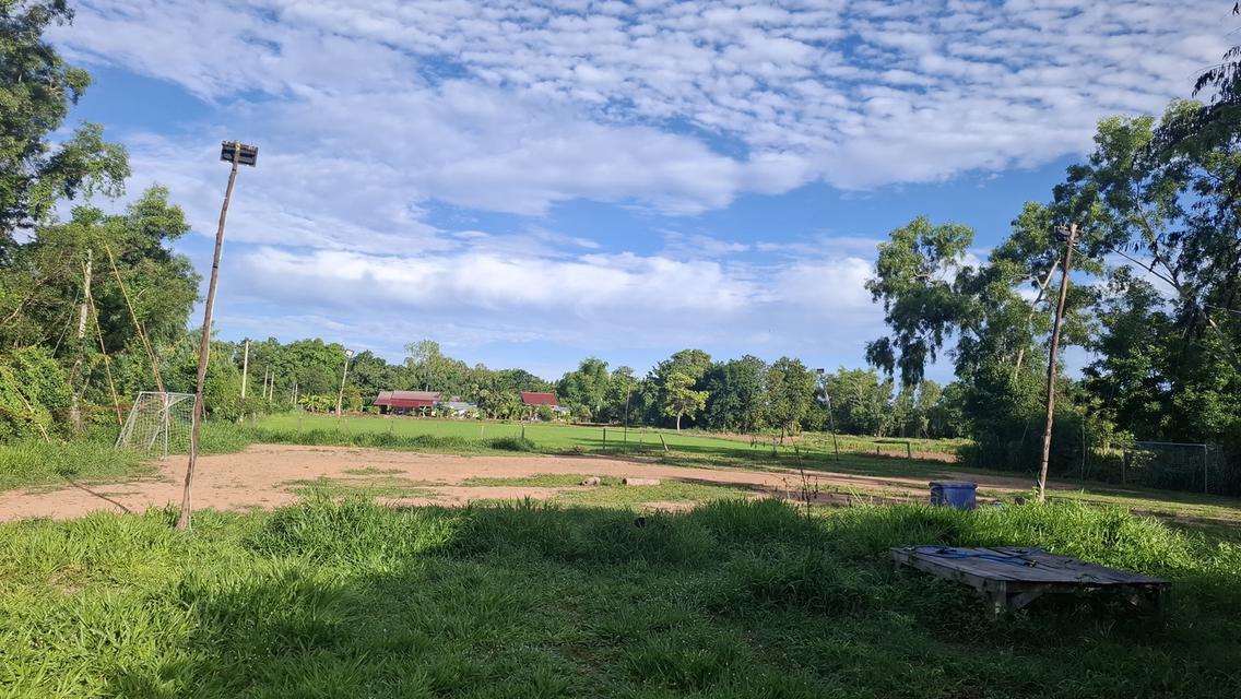 💥คุ้มสุดฯบ้านสวนสองหลังพร้อมที่ดินสองไร่ 10